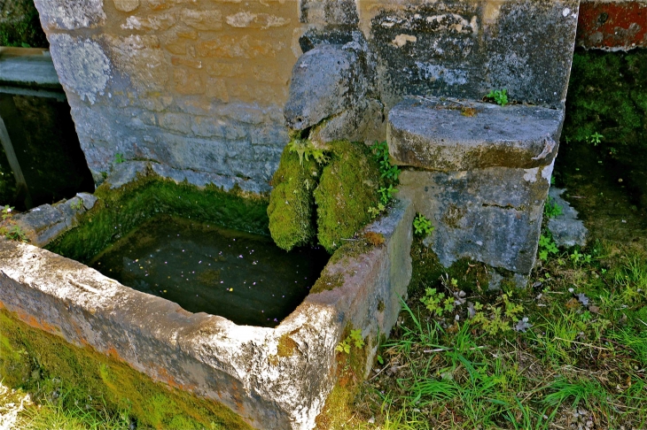 Fontaine-Lavoir de la Cassagne