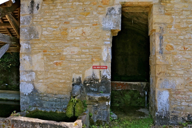 Fontaine-Lavoir de la Cassagne