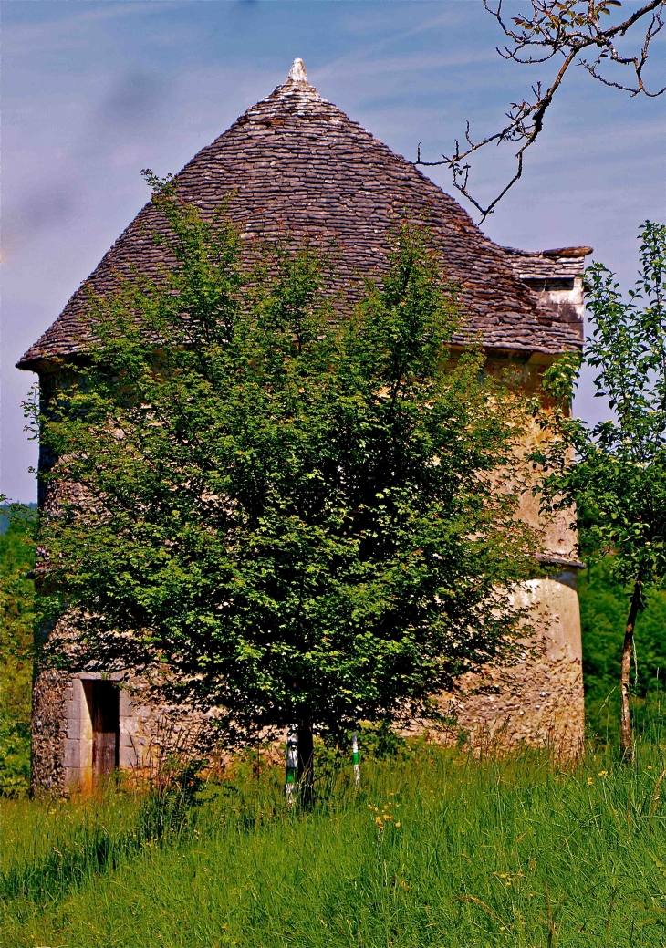 Le pigeonnier - La Cassagne