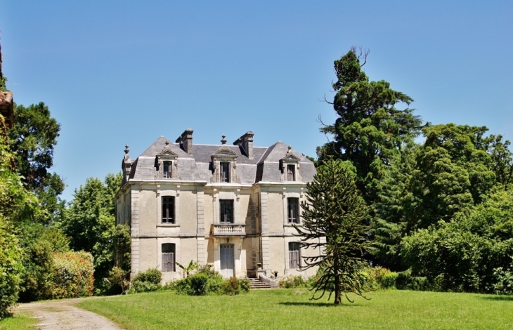 Le Château - La Chapelle-Grésignac