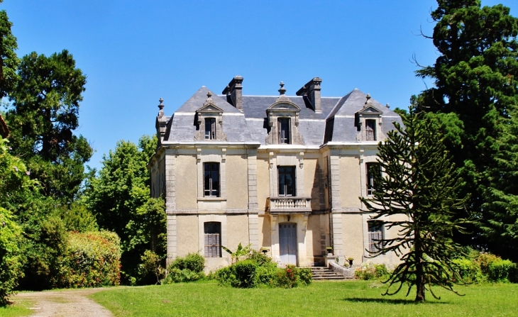 Le Château - La Chapelle-Grésignac