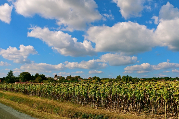 Vue sur le village. - La Chapelle-Montabourlet