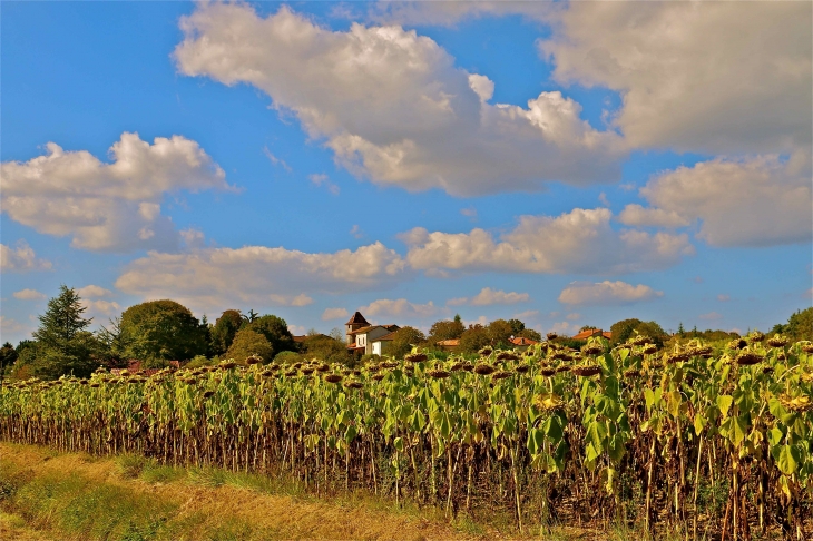 Le village - La Chapelle-Montabourlet