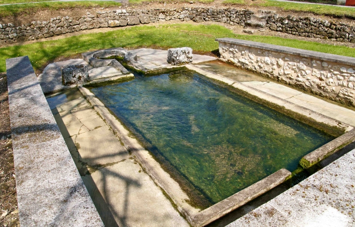 Le Lavoir. - La Chapelle-Montmoreau