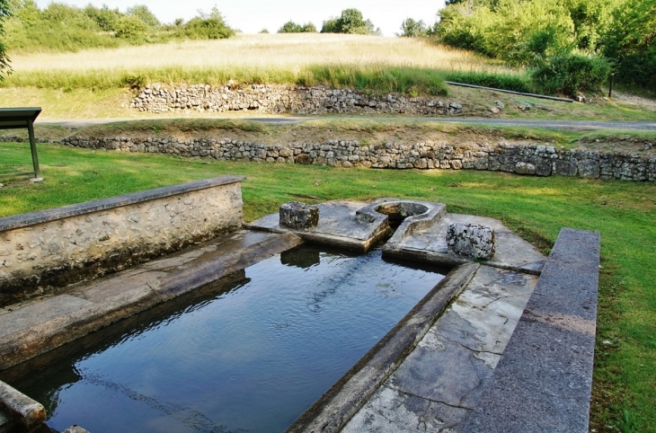 Le Lavoir - La Chapelle-Montmoreau