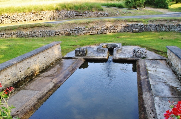 Le Lavoir - La Chapelle-Montmoreau