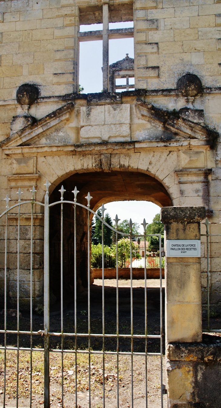 Ruines du Château de La Force