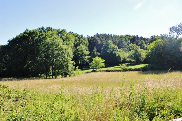 La Campagne - La Gonterie-Boulouneix