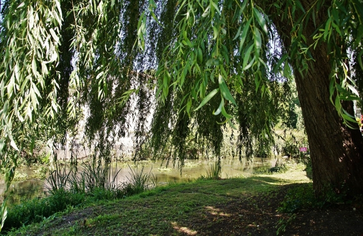 La Nizonne - La Rochebeaucourt-et-Argentine