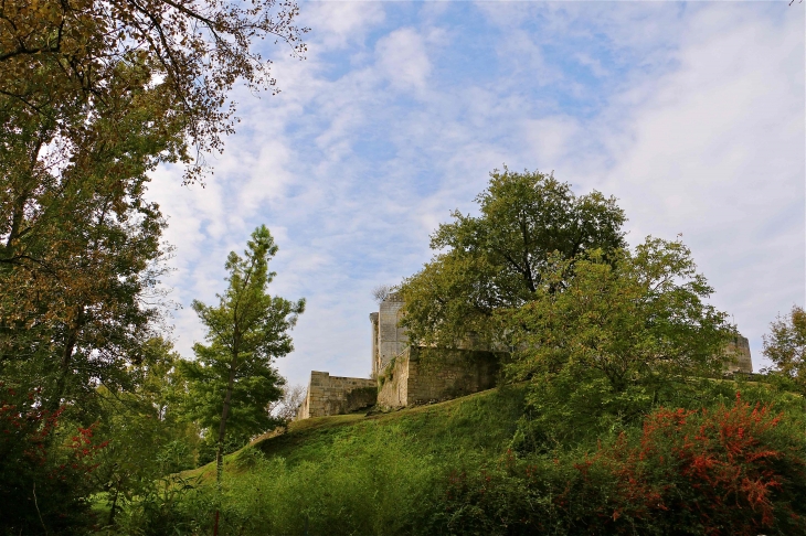 Le château fort. - La Tour-Blanche