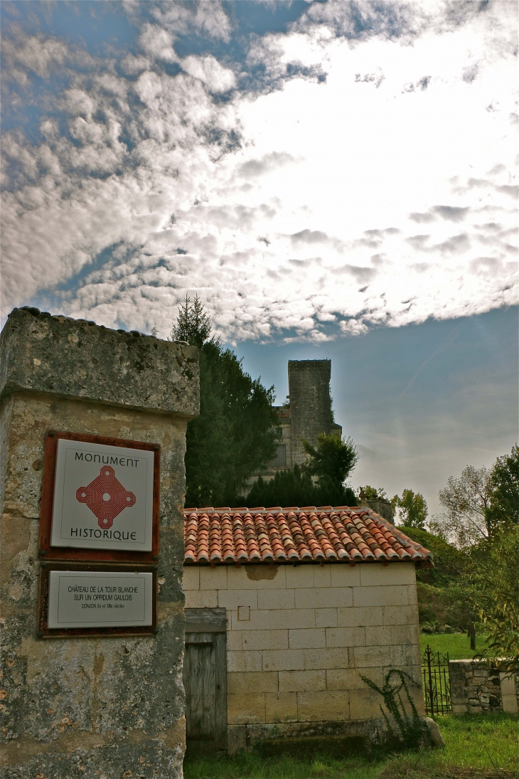 Le château fort - La Tour-Blanche