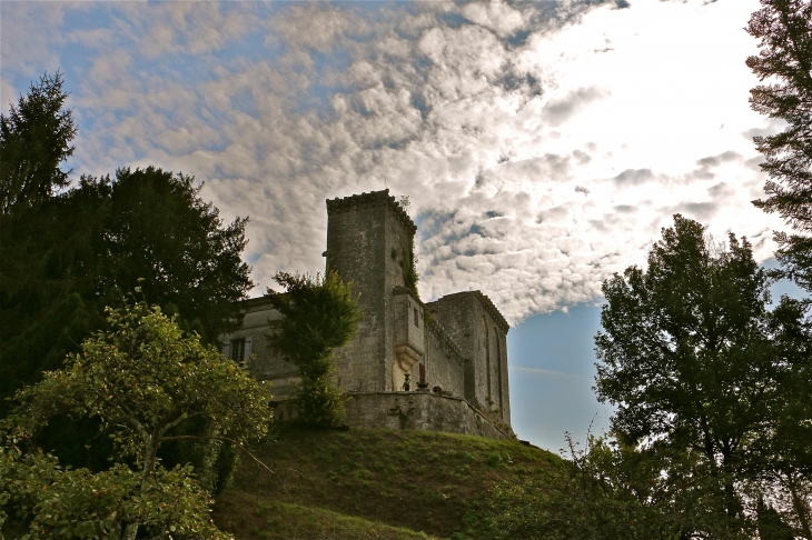 Le château fort - La Tour-Blanche