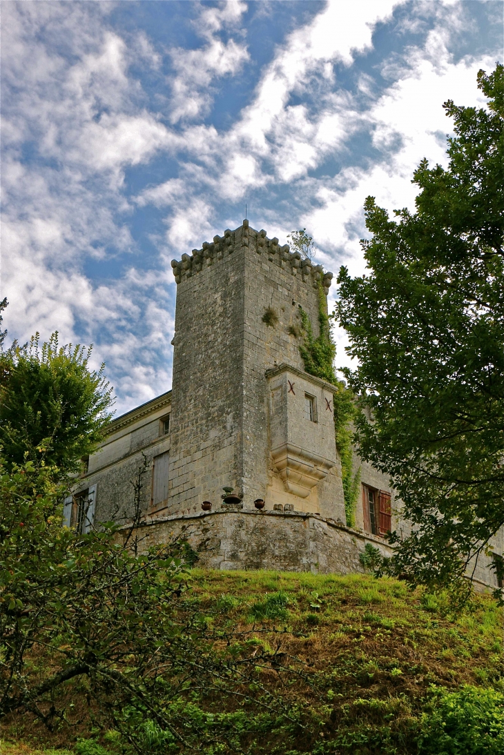 Le château fort - La Tour-Blanche