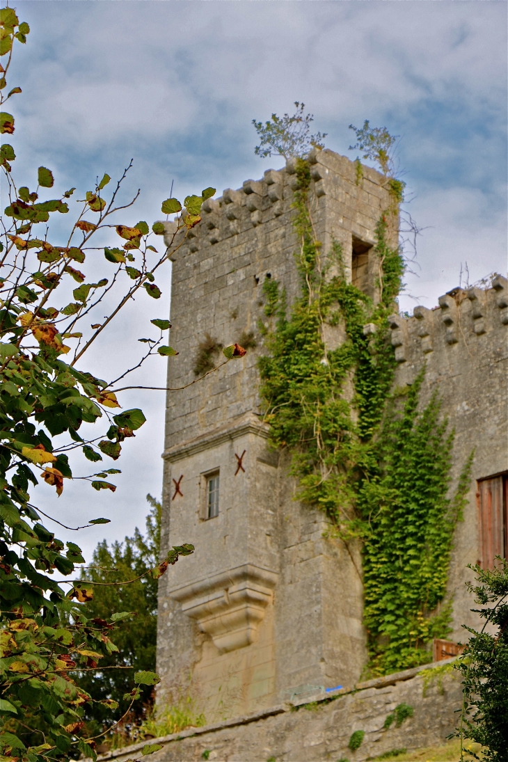 Le château fort - La Tour-Blanche