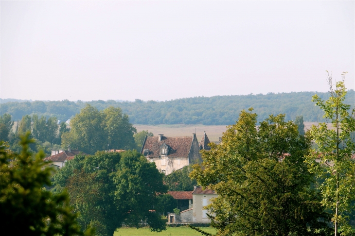 Vue sur le château - La Tour-Blanche