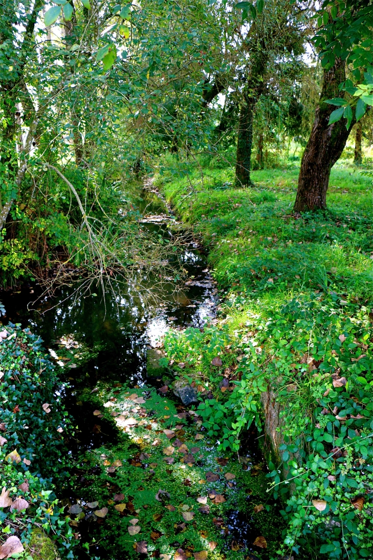 Le ruisseau du lavoir - La Tour-Blanche