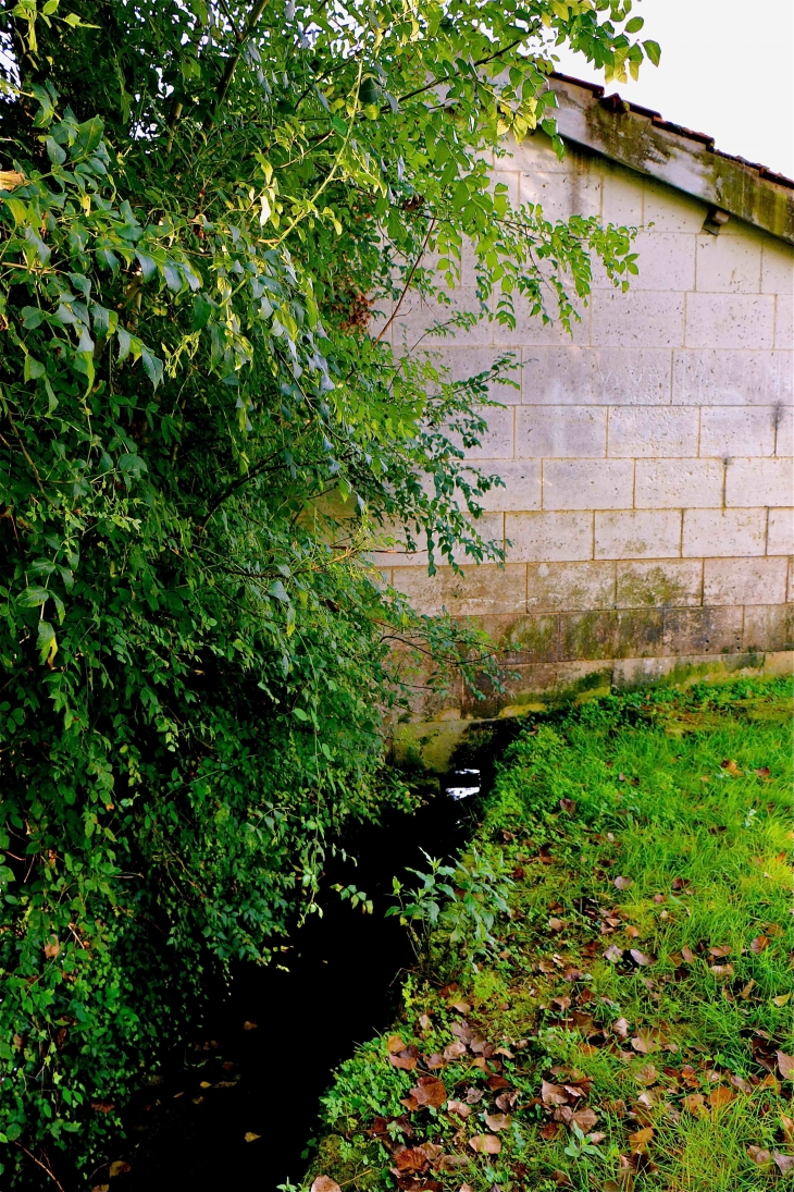 Le lavoir - La Tour-Blanche