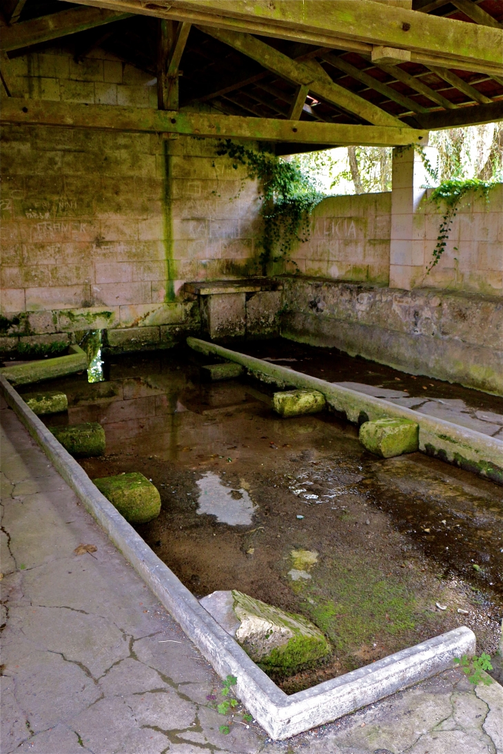 Le lavoir - La Tour-Blanche