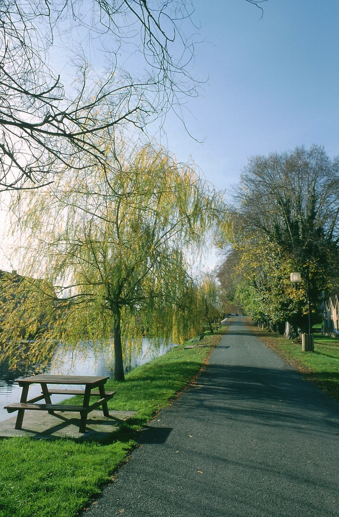 Le bassin - Lalinde