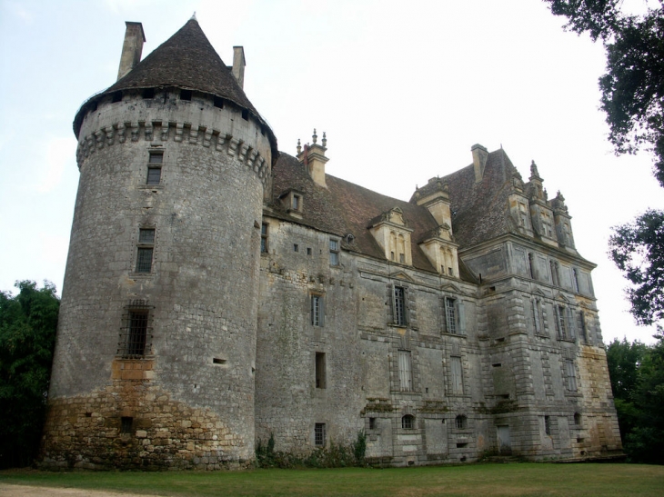 L'arrière du chateau - Lanquais