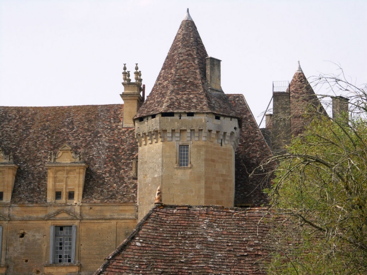 La tour du chateau - Lanquais