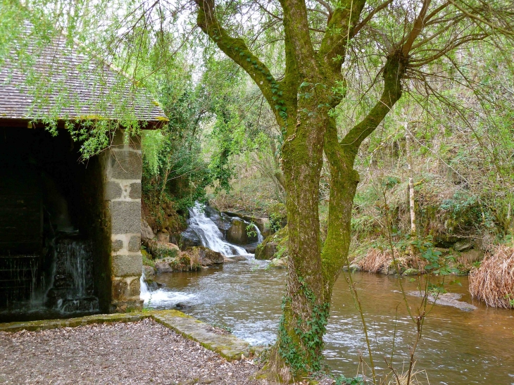 La-Doue-au-moulin-de-pinard - Le Bourdeix