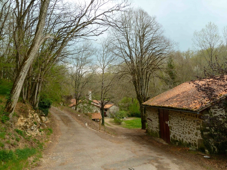 Le-moulin-de-pinard - Le Bourdeix