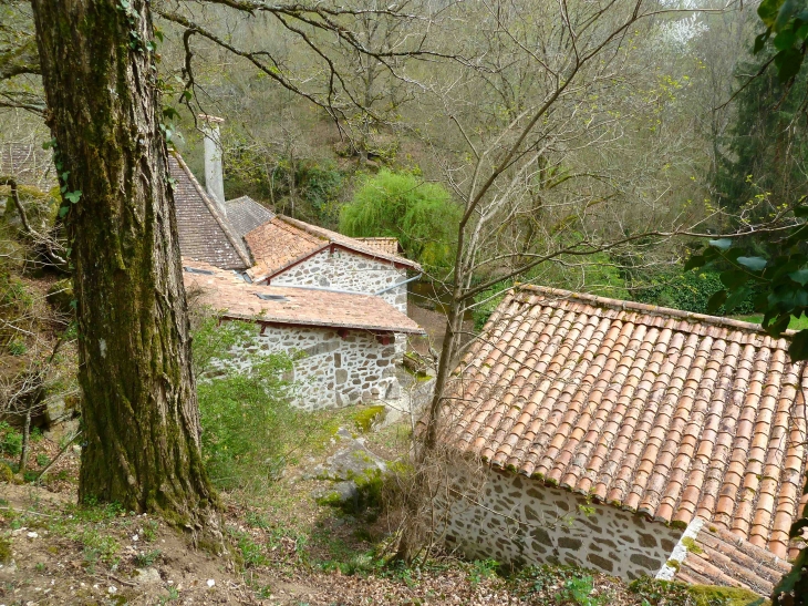 Le-moulin-de-pinard - Le Bourdeix