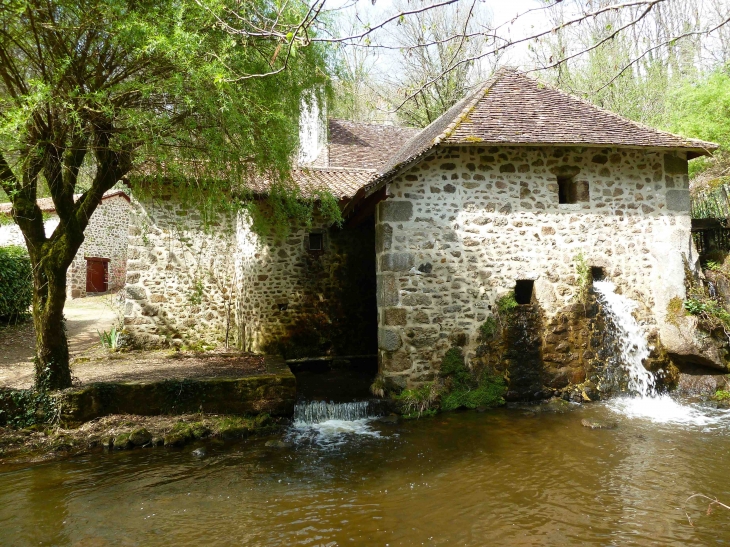 Le-moulin-de-pinard-est-un-veritable-moulin-vivant-du-moyen-age - Le Bourdeix