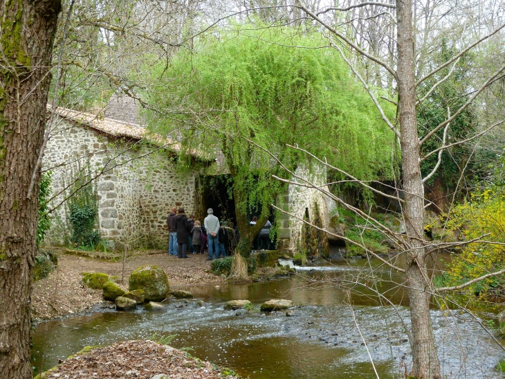 Le-moulin-de-pinard-blotti-dans-la-vallee-de-la-doue - Le Bourdeix