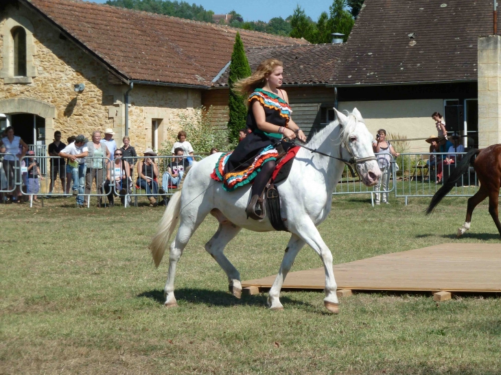 2ème fête du cheval - Le Bugue