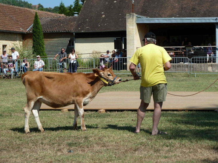 2ème fête du cheval - Le Bugue