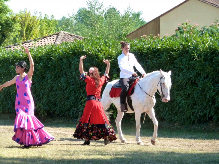 2ème fête du cheval - Le Bugue