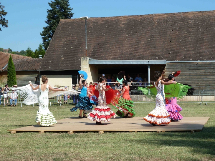 2ème fête du cheval - Le Bugue