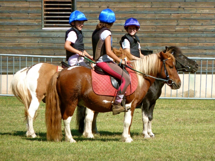 2ème fête du cheval - Le Bugue