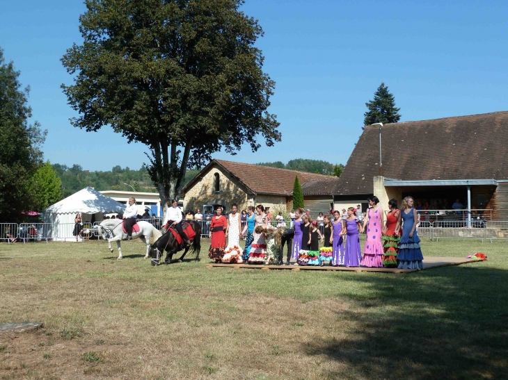 2ème fête du cheval - Le Bugue