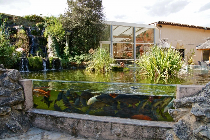 L'Aquarium du Périgord Noir. - Le Bugue