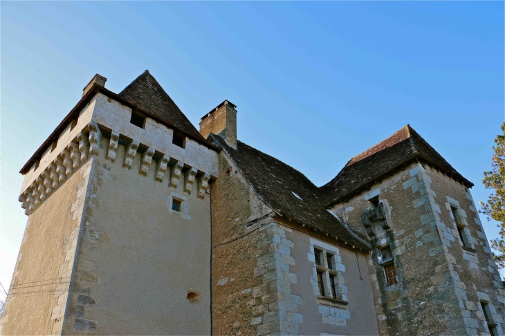 Le château de la Sandre. Mâchicoulis sur corbeaux de la Tour - Le Change