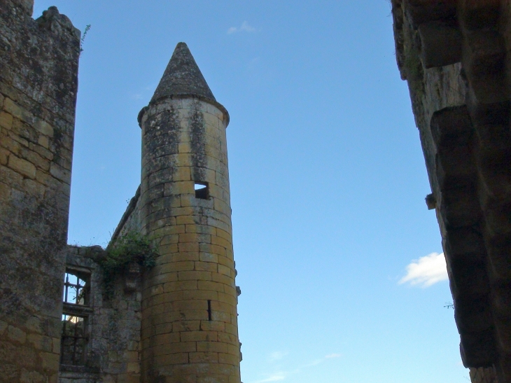 Le Château de Commarque - Les Eyzies-de-Tayac-Sireuil