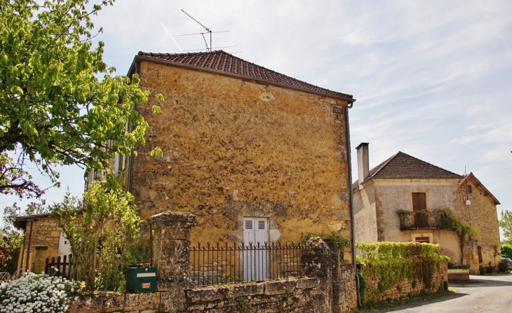 Le Village - Les Eyzies-de-Tayac-Sireuil