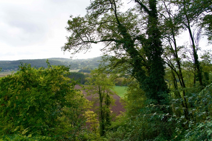 Vue du village. - Limeuil