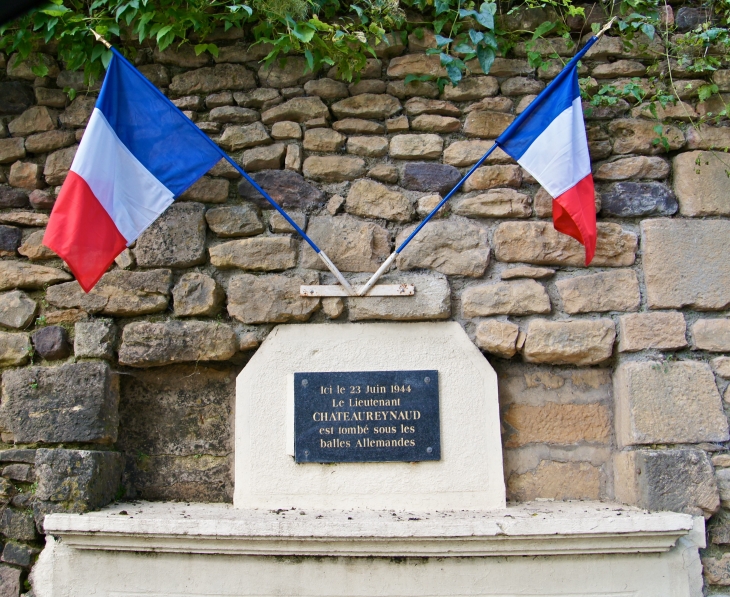 Plaque commémorative. Leutenant Chateaureynaud. D31 vers le Bugue. - Limeuil