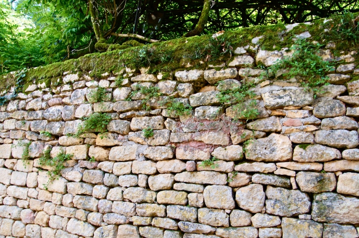 Mur ancien de pierres . - Limeuil