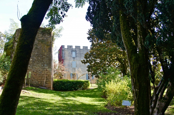 La Maison du Docteur Linarès dans les jardins panoramiques. - Limeuil