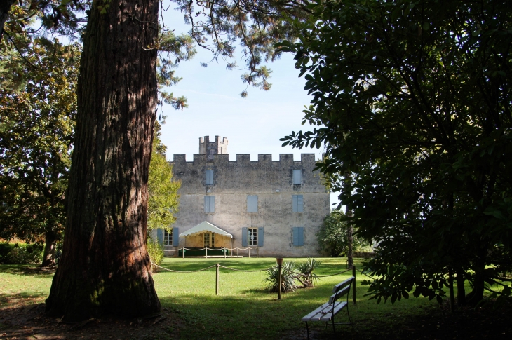 Les Jardins panoramiques : le séquoia et la maison du Docteur. - Limeuil