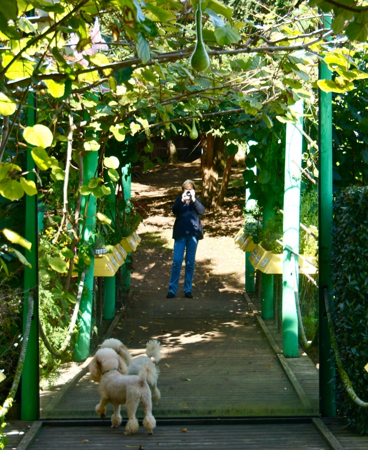 Le Miroir.... Les Jardins Panoramiques. - Limeuil