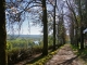 Photo suivante de Limeuil Les Jardins Panoramiques. l'Allée des Marronniers et au fond la Dordogne.