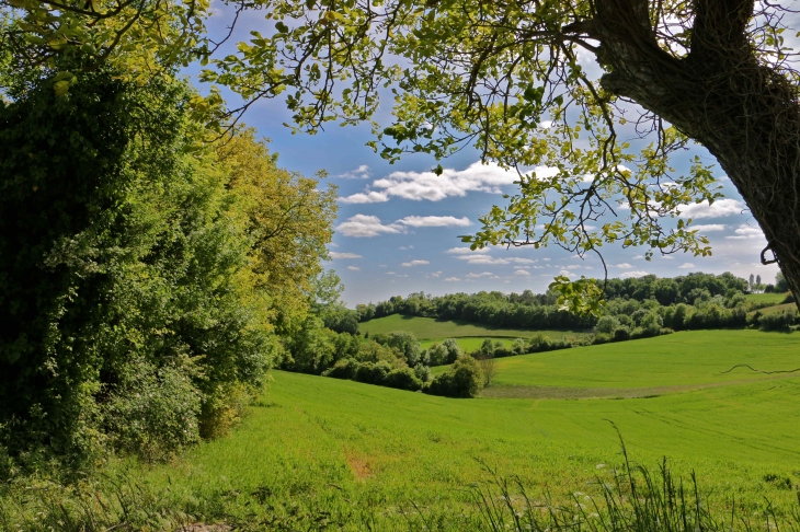 Aux alentours. - Lusignac