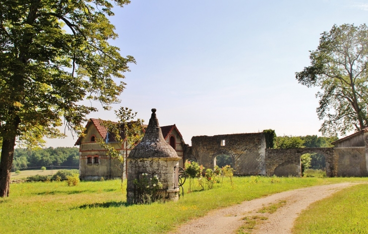 Château de Beauvais - Lussas-et-Nontronneau