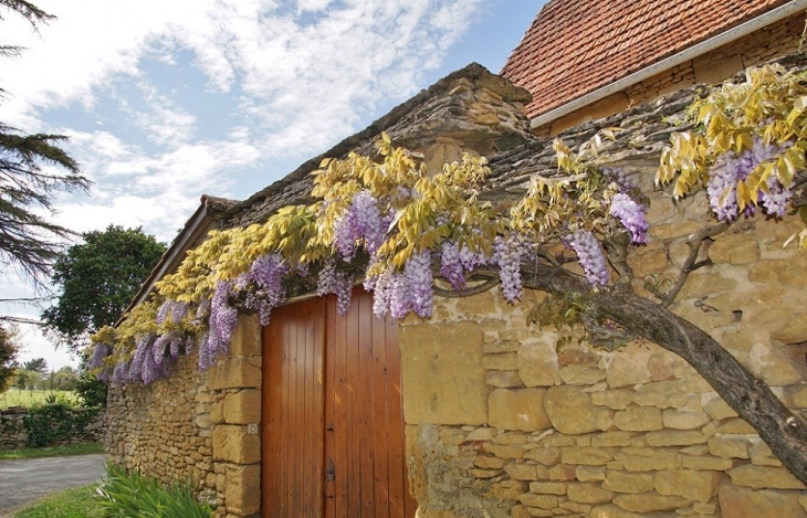 Le Village - Marcillac-Saint-Quentin